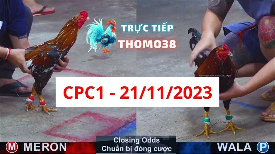 Trực tiếp thomo CPC1 21-11-2023