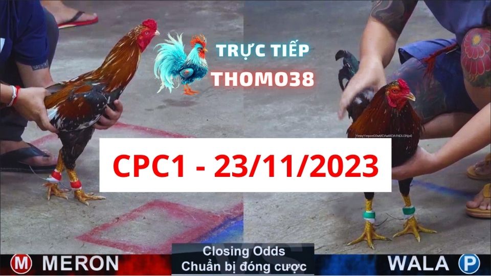 Trực tiếp thomo CPC1 23-11-2023