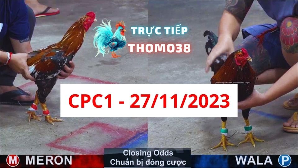 Trực tiếp thomo CPC1 27-11-2023
