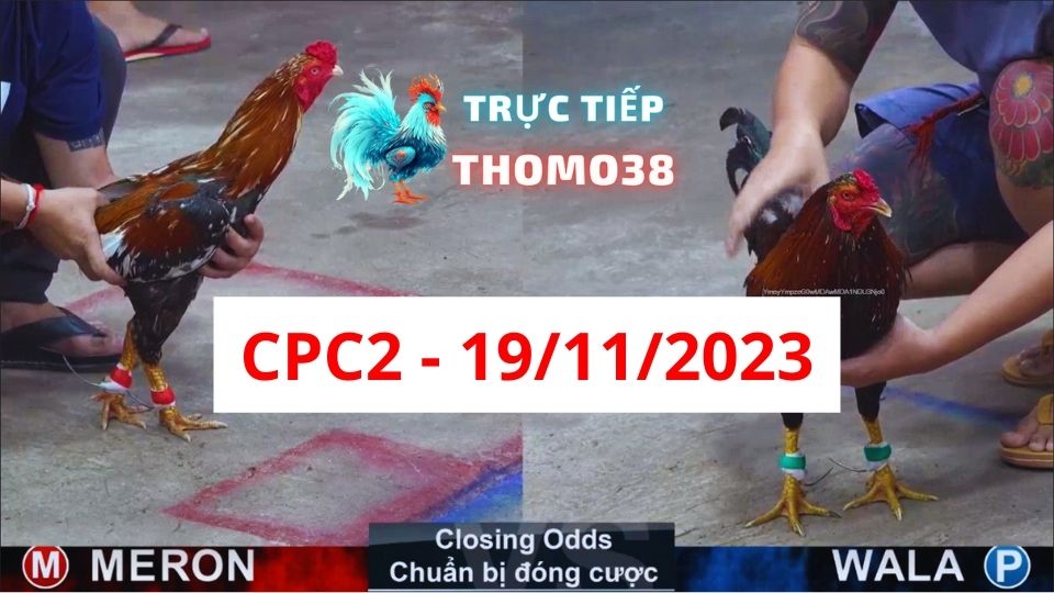 Trực tiếp thomo CPC2 19-11-2023