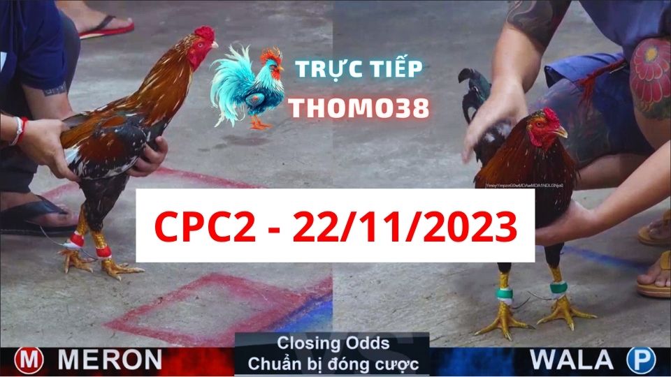 Trực tiếp thomo CPC2 22-11-2023