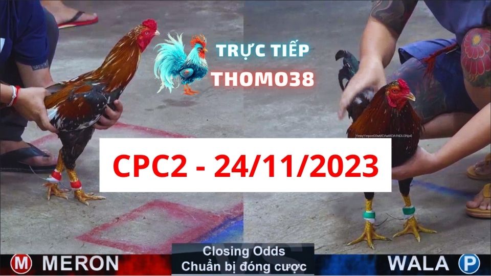 Trực tiếp thomo CPC2 24-11-2023