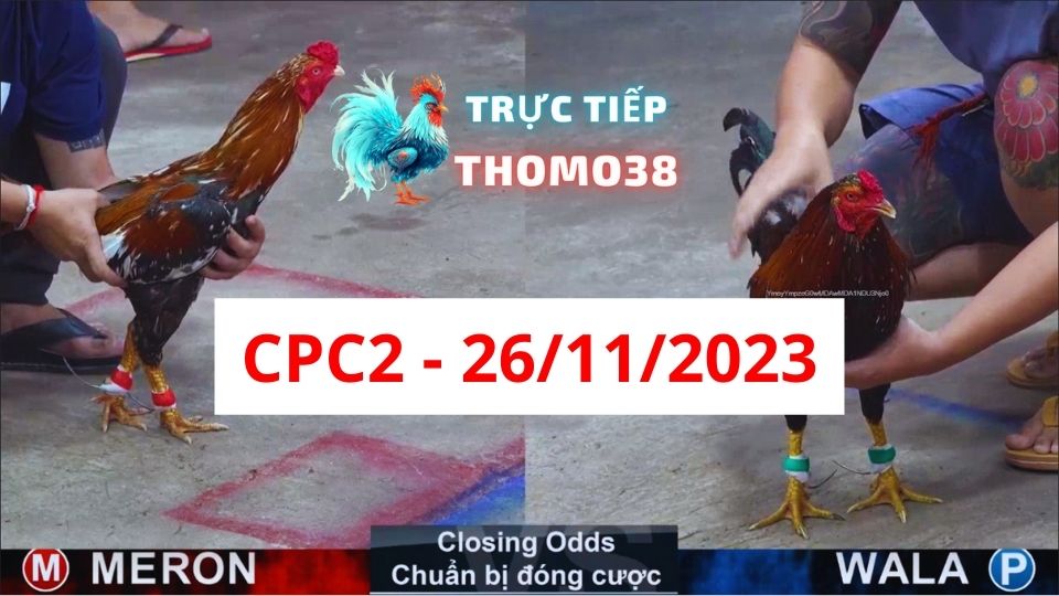 Trực tiếp thomo CPC2 26-11-2023