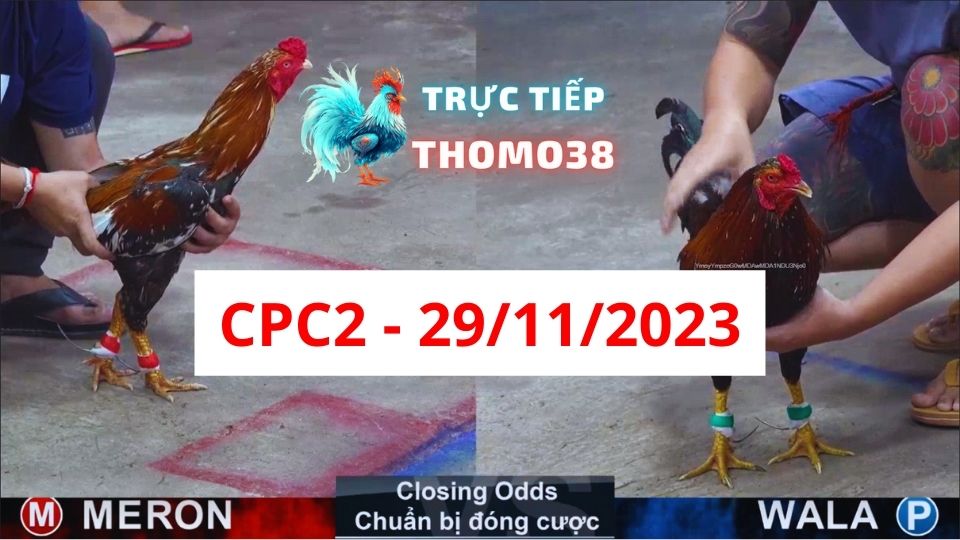 Trực tiếp thomo CPC2 29-11-2023