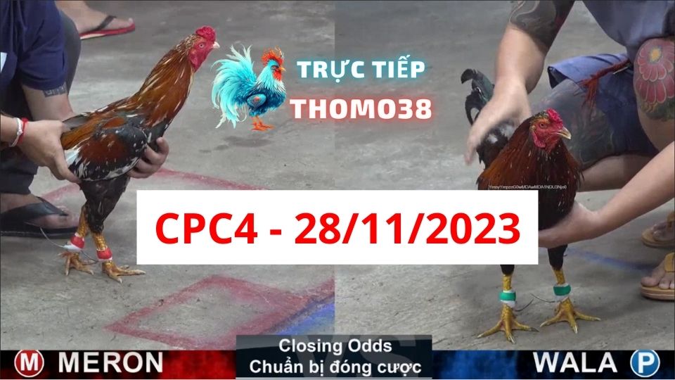 Trực tiếp thomo CPC4 28-11-2023
