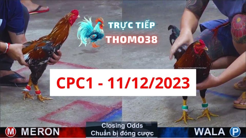 Trực tiếp thomo CPC1 11-12-2023