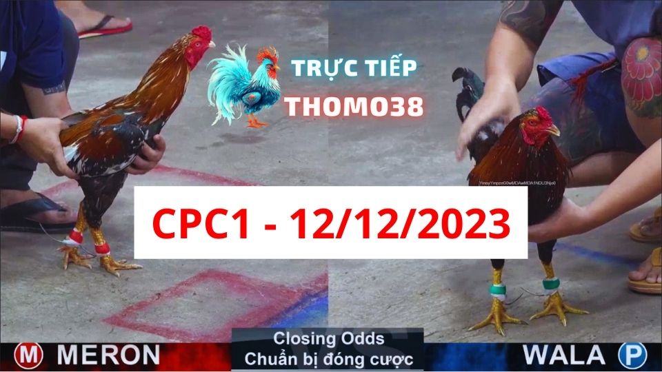 Trực tiếp thomo CPC1 12-12-2023