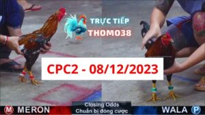 Trực tiếp thomo CPC2 08-12-2023