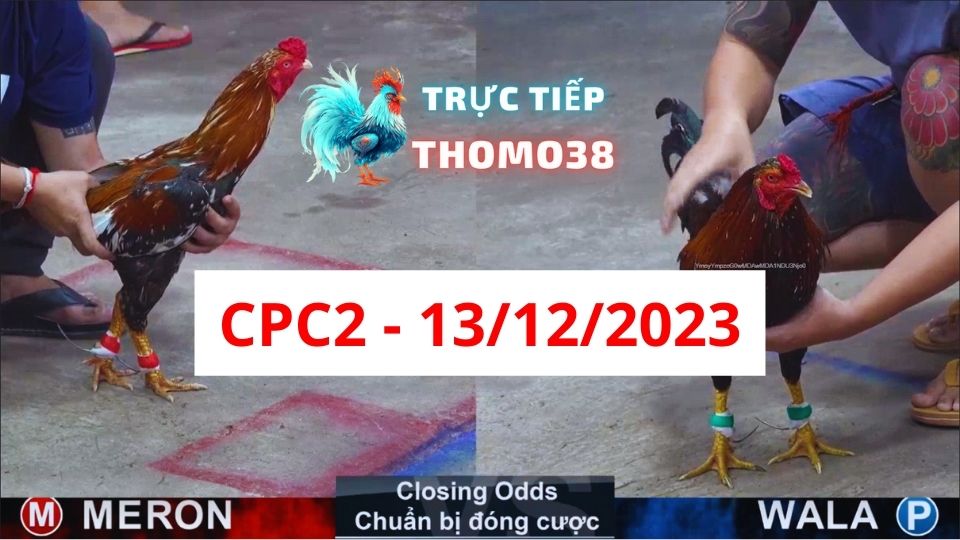 Trực tiếp thomo CPC2 13-12-2023