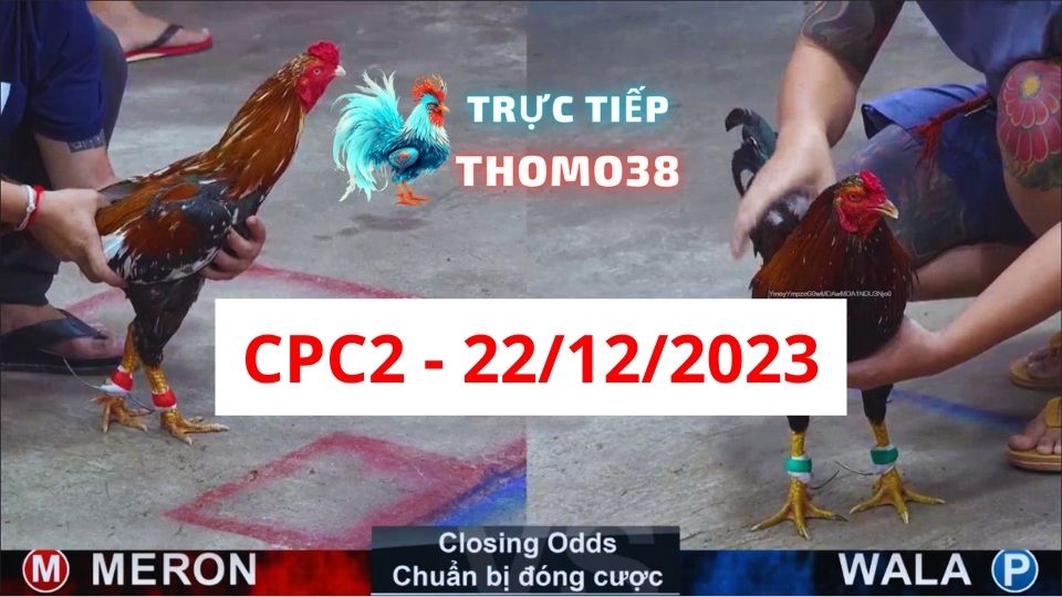 Trực tiếp thomo CPC2 22-12-2023