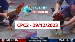 Trực tiếp thomo CPC2 29-12-2023