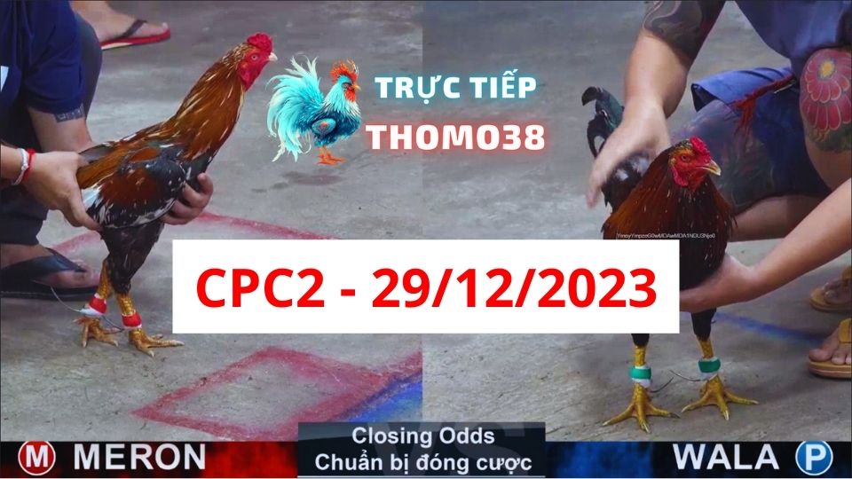 Trực tiếp thomo CPC2 29-12-2023
