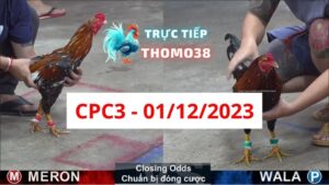 Trực tiếp thomo CPC3 01-12-2023