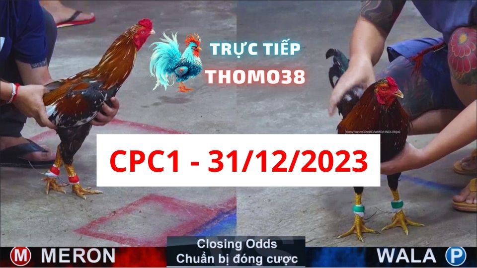 Trực tiếp thomo CPC1 31-12-2023