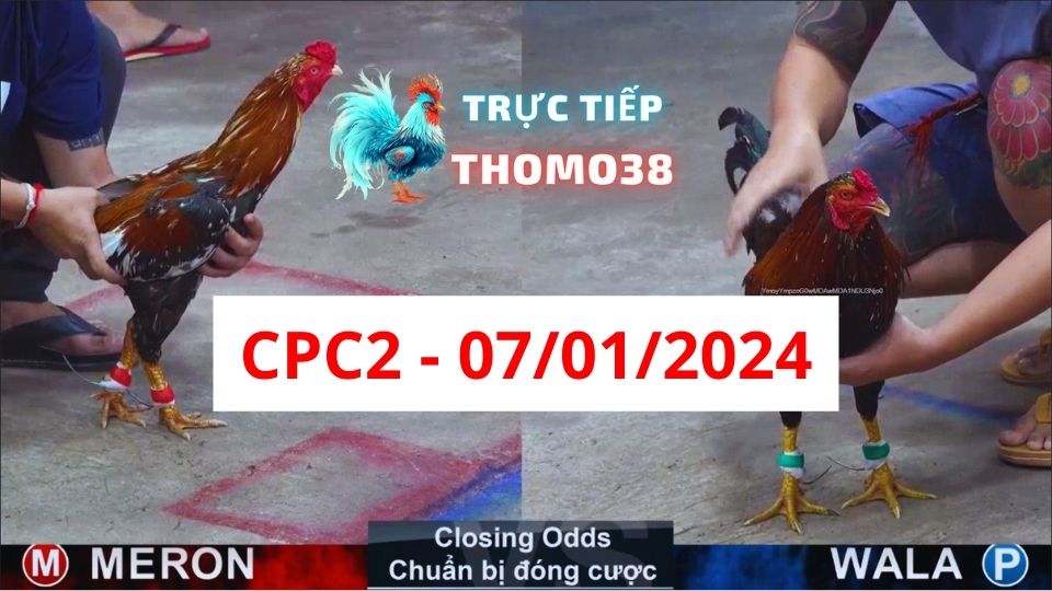 Trực tiếp thomo CPC2 07-01-2024