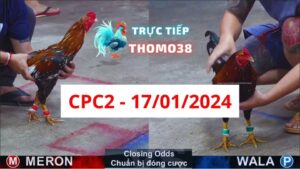 Trực tiếp thomo CPC2 17-01-2024