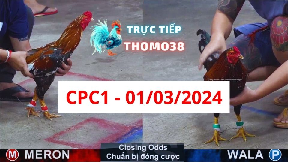Trực tiếp thomo CPC1 01-03-2024