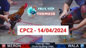 Trực tiếp thomo CPC2 14-04-2024