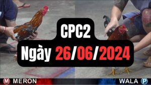 Trực tiếp thomo CPC3 26-06-2024