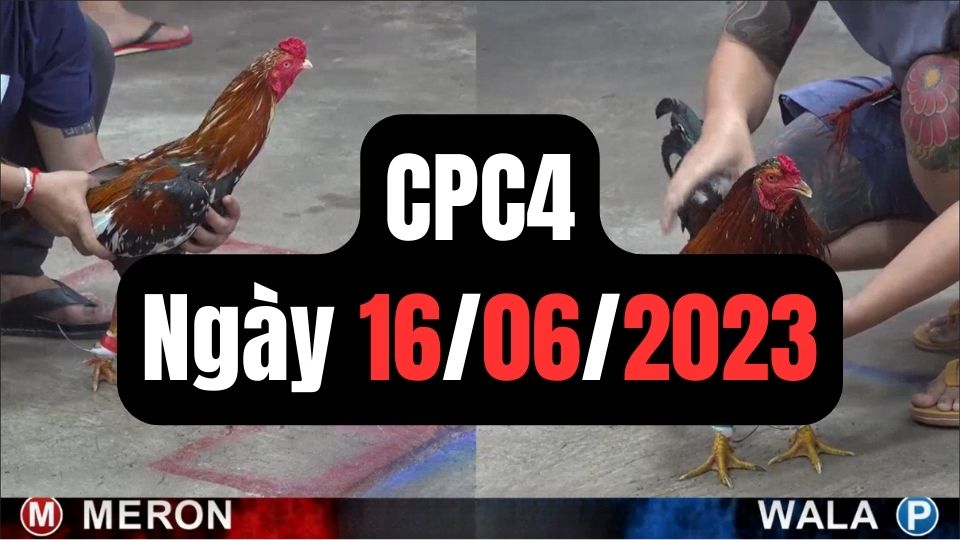 Trực tiếp thomo CPC4 16-06-2024
