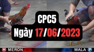 Trực tiếp thomo CPC5 17-06-2024