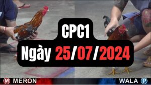 Trực tiếp thomo CPC1 25-07-2024