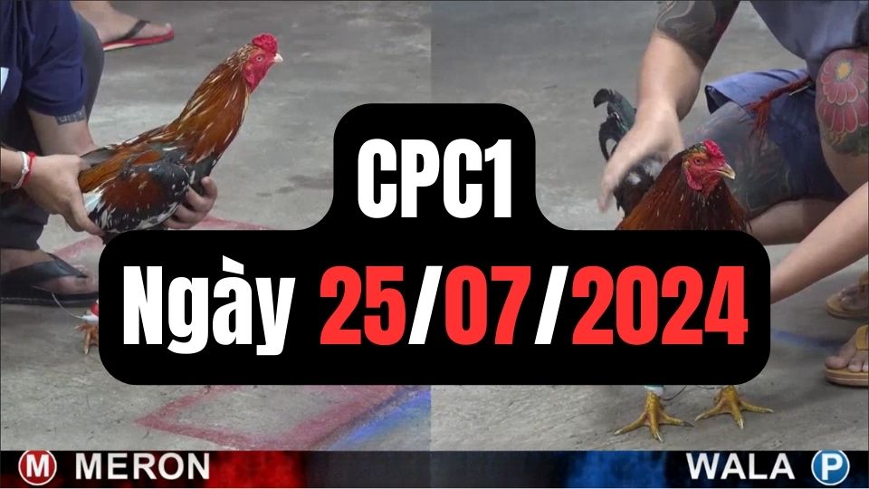 Trực tiếp thomo CPC1 25-07-2024