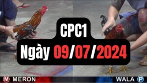 Trực tiếp thomo CPC1 09-07-2024