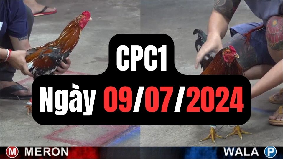 Trực tiếp thomo CPC1 09-07-2024