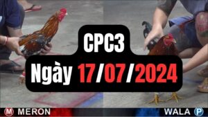 Trực tiếp thomo CPC3 17-07-2024