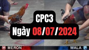 Trực tiếp thomo CPC3 08-07-2024
