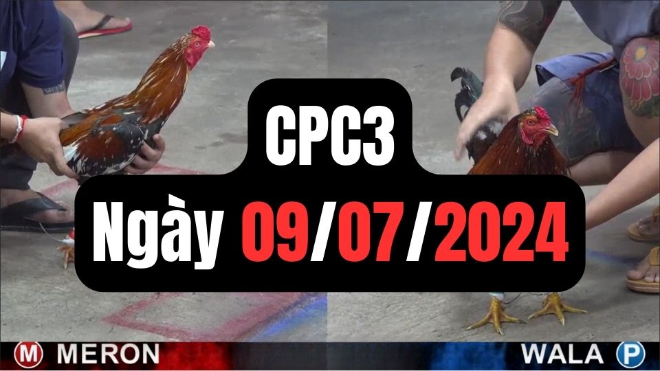 Trực tiếp thomo CPC3 09-07-2024