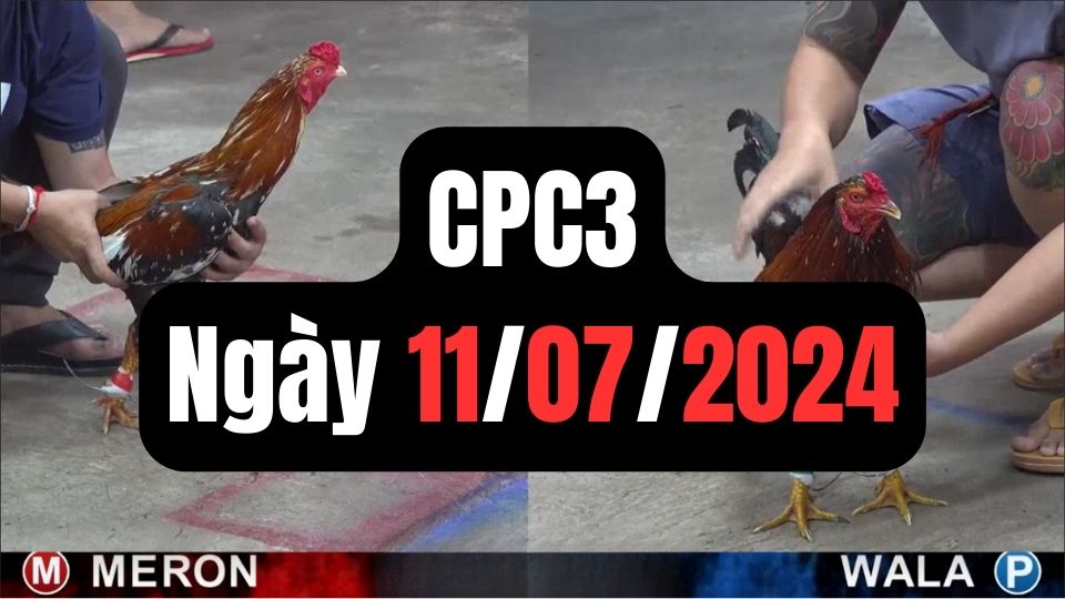 Trực tiếp thomo CPC3 11-07-2024