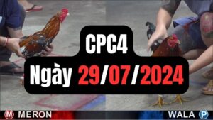 Trực tiếp thomo CPC4 29-07-2024