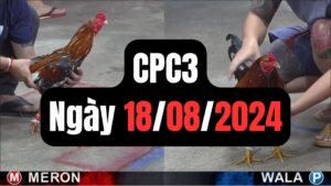 Trực tiếp thomo CPC3 18-08-2024