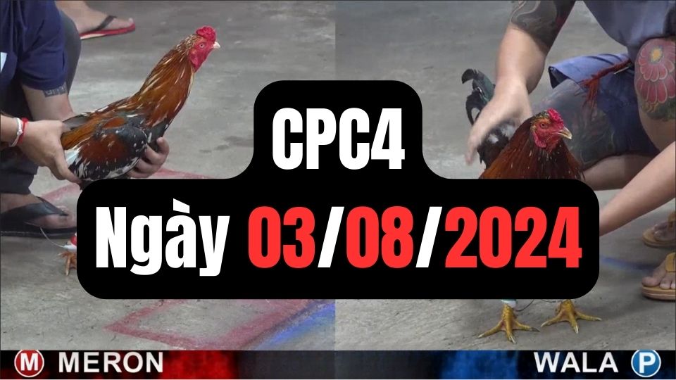 Trực tiếp thomo CPC4 03-08-2024