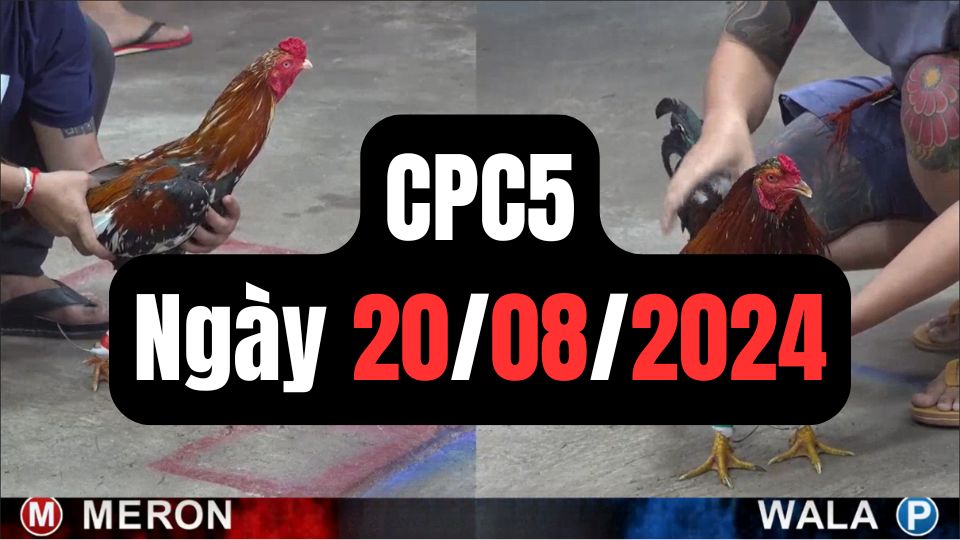 Trực tiếp thomo CPC5 20-08-2024
