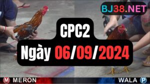 Trực tiếp thomo CPC2 06-09-2024