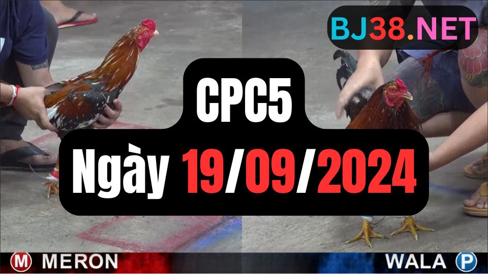 Trực tiếp thomo CPC5 19-09-2024