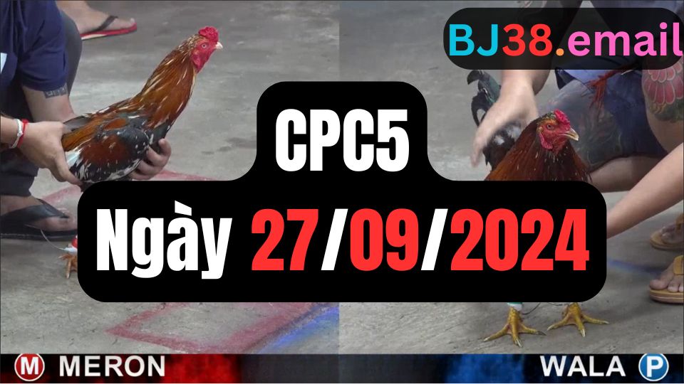 Trực tiếp thomo CPC5 27-09-2024