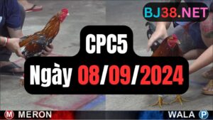 Trực tiếp thomo CPC5 08-09-2024