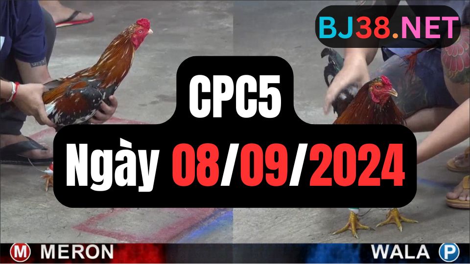 Trực tiếp thomo CPC5 08-09-2024
