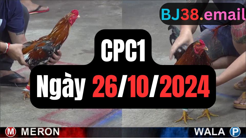Trực tiếp thomo CPC1 26-10-2024