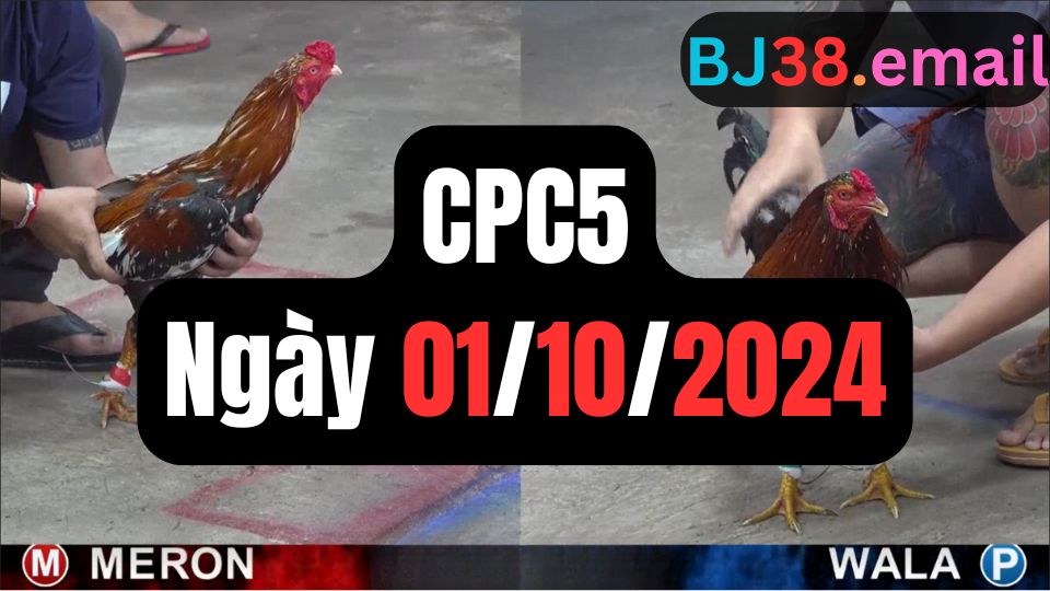 Trực tiếp thomo CPC5 01-10-2024