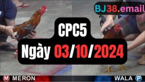 Trực tiếp thomo CPC5 03-10-2024