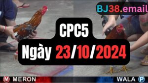 Trực tiếp thomo CPC5 23-10-2024