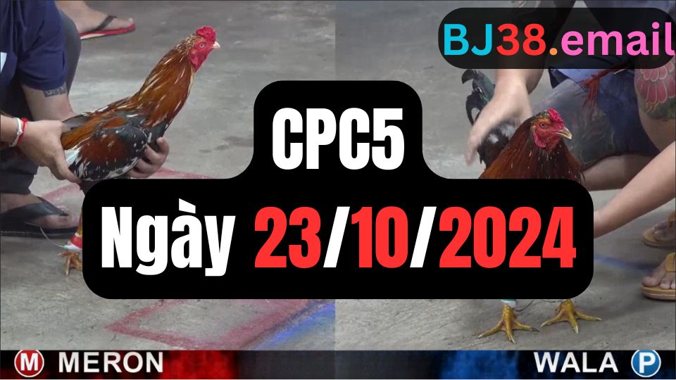 Trực tiếp thomo CPC5 23-10-2024