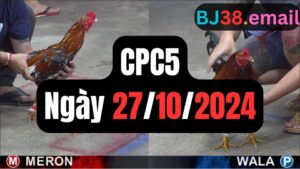 Trực tiếp thomo CPC5 27-10-2024