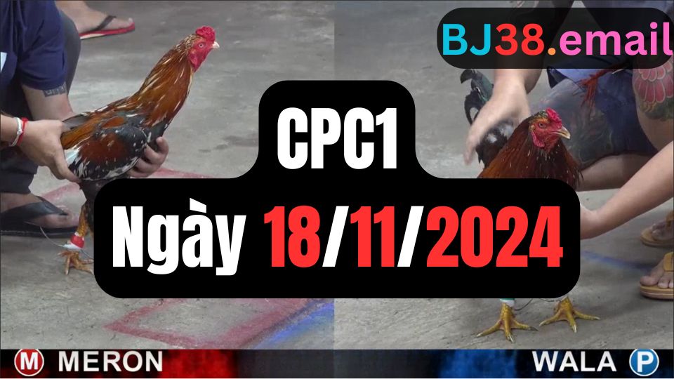 Trực tiếp thomo CPC1 18-11-2024