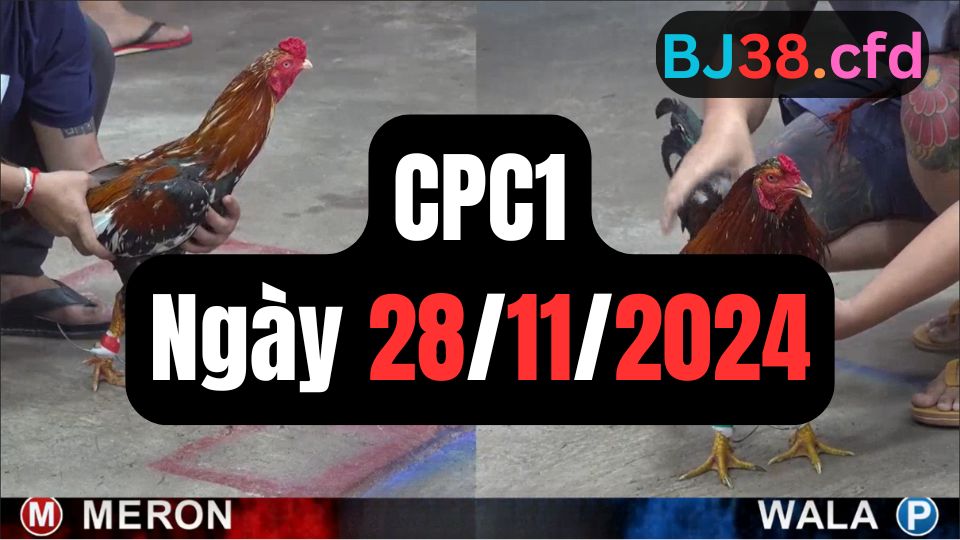 Trực tiếp thomo CPC1 28-11-2024